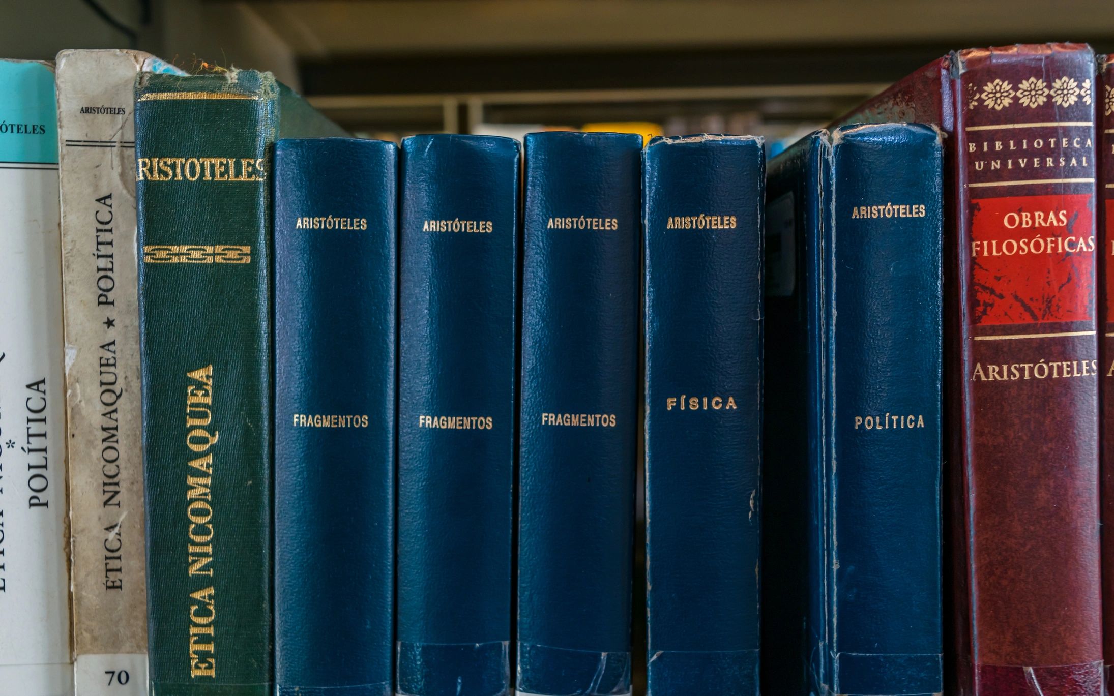 Library shelves filled with books for theological and cultural study